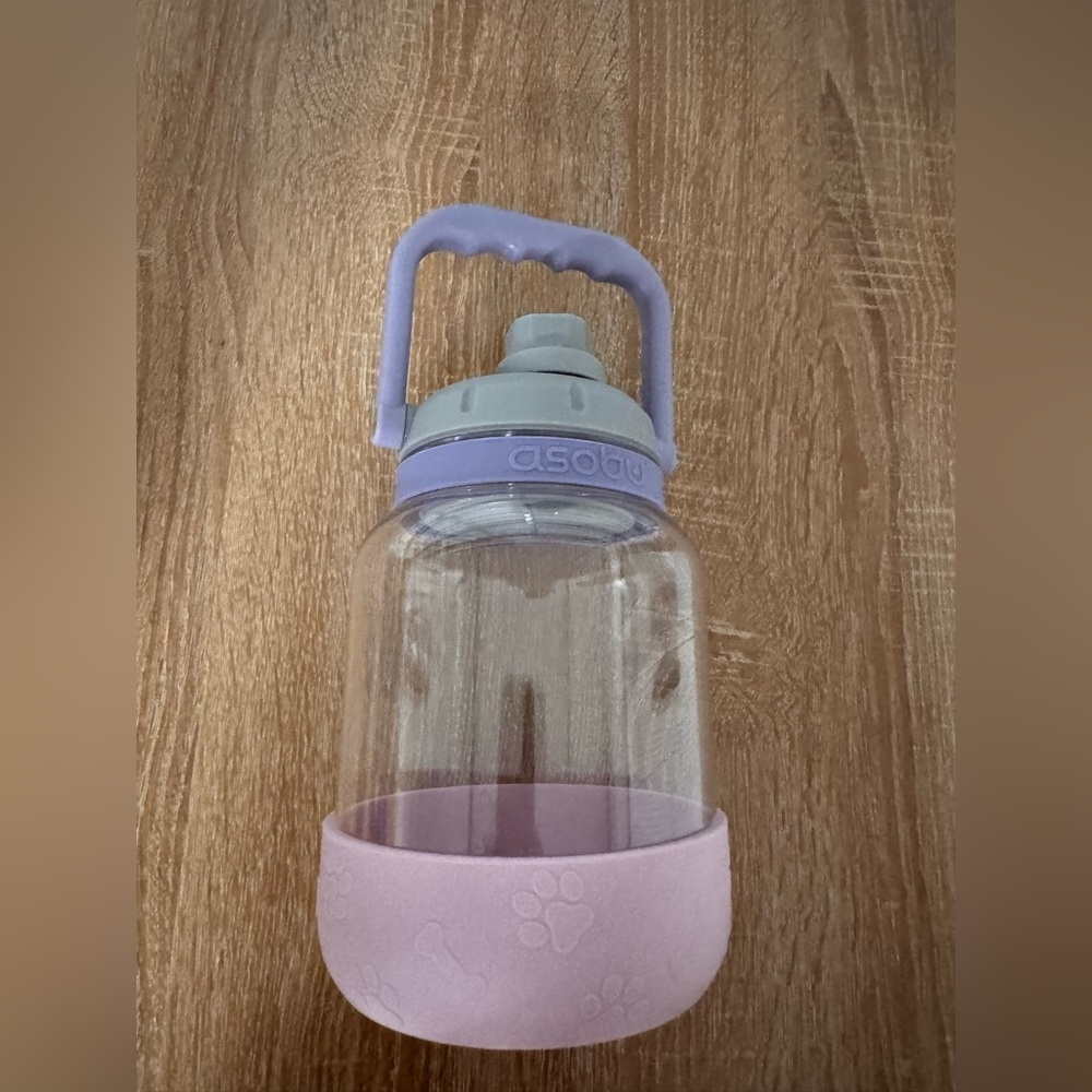 Asobu Purple and Pink Water Bottle